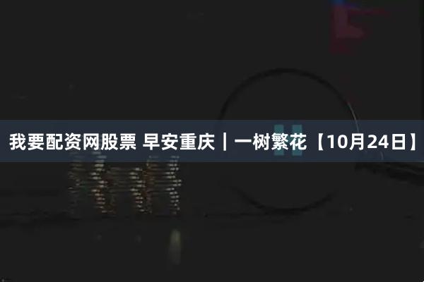 我要配资网股票 早安重庆｜一树繁花【10月24日】