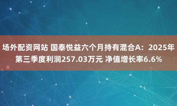 场外配资网站 国泰悦益六个月持有混合A：2025年第三季度利润257.03万元 净值增长率6.6%