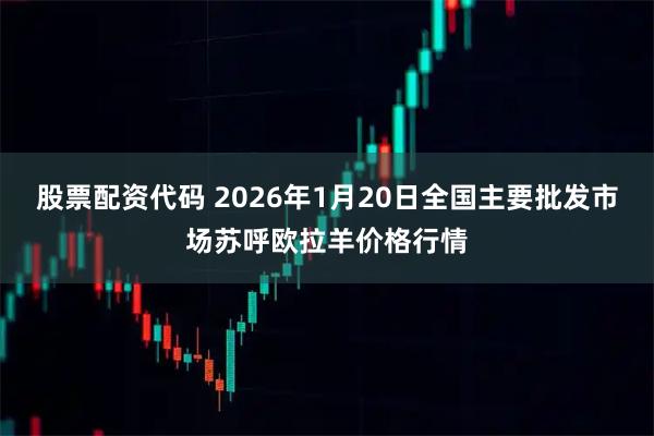 股票配资代码 2026年1月20日全国主要批发市场苏呼欧拉羊价格行情